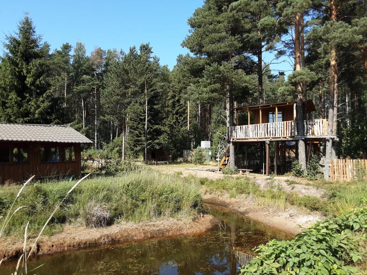 Elulong Camping Hotel Lohusuu Exterior photo